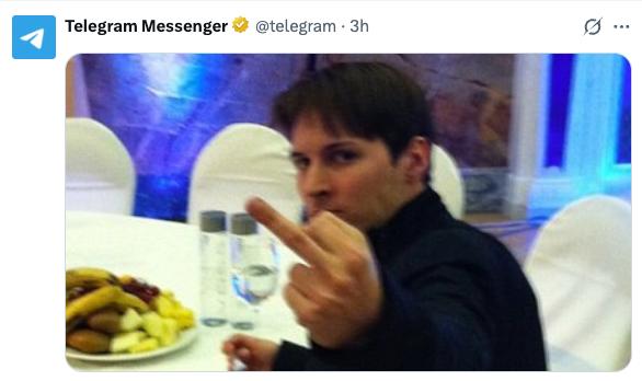 telegram-cloud-photo-size-2-5427361417192479625-x.jpg